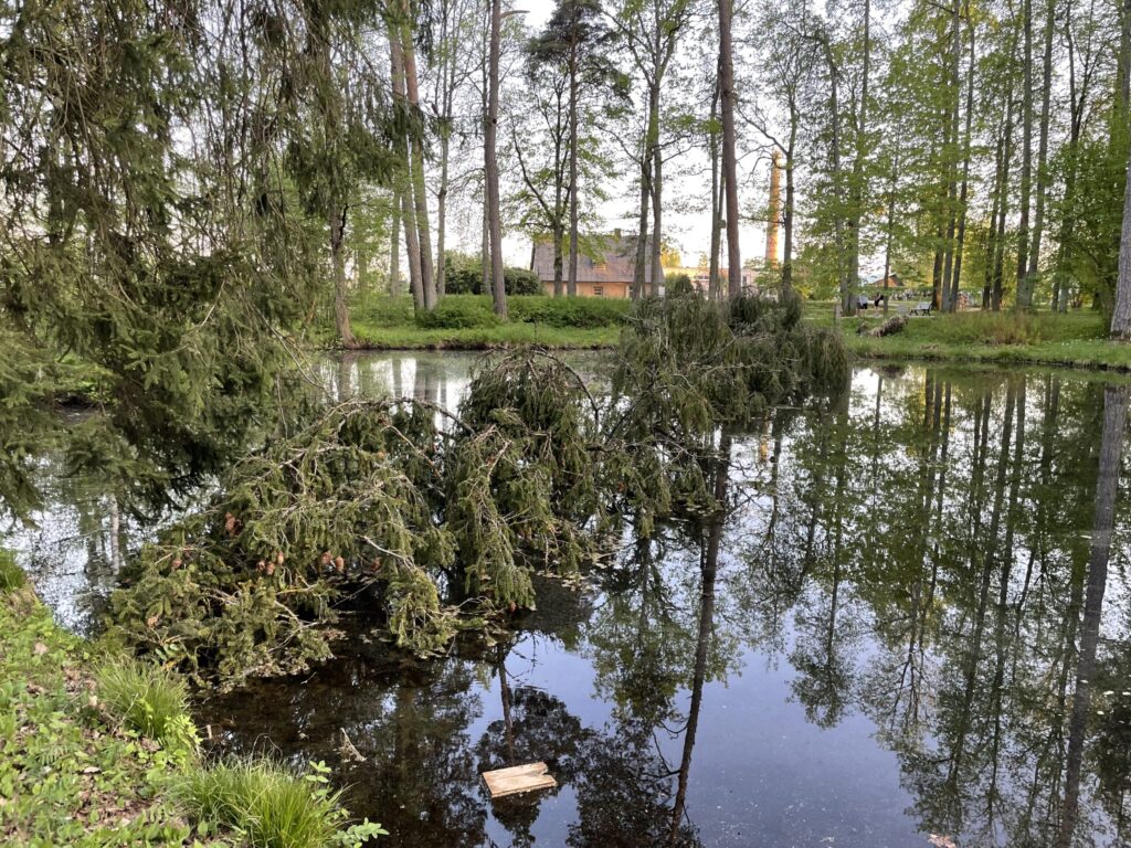 Aluksniesiem.lv raksta attēla aizvietotājs