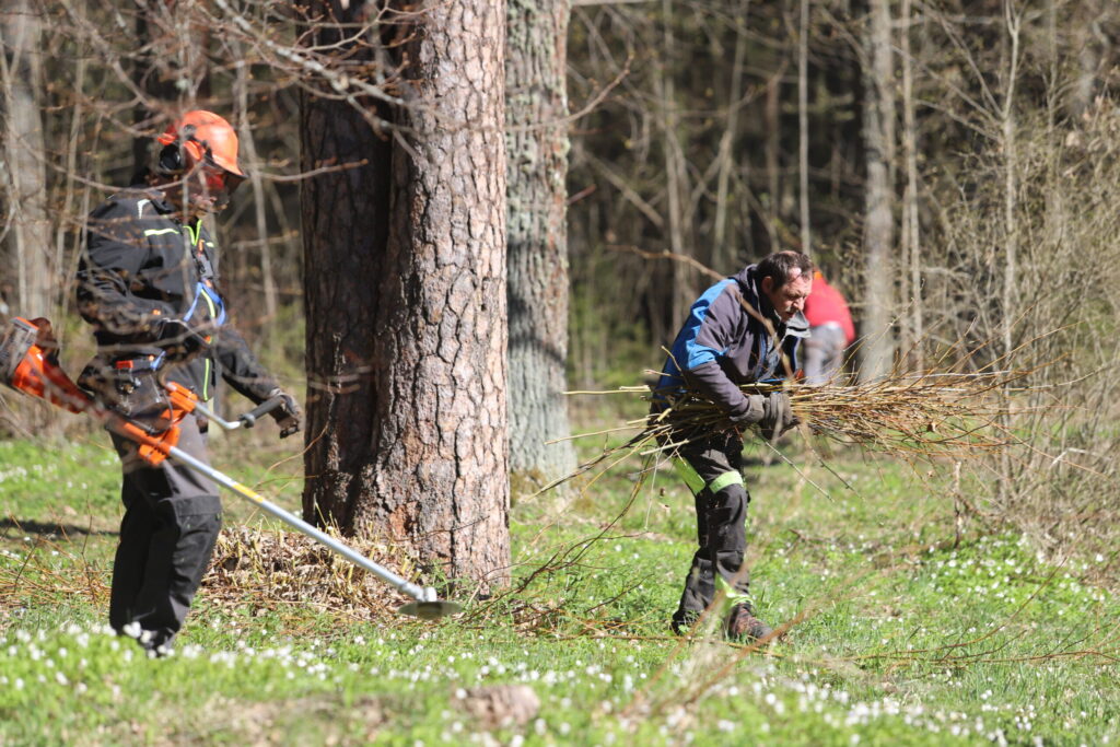 Autors: Foto: Gatis Bogdanovs