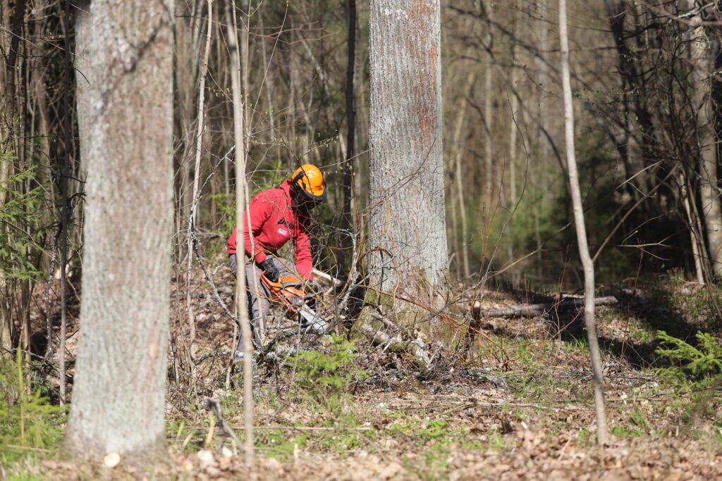 Autors: Foto: Gatis Bogdanovs
