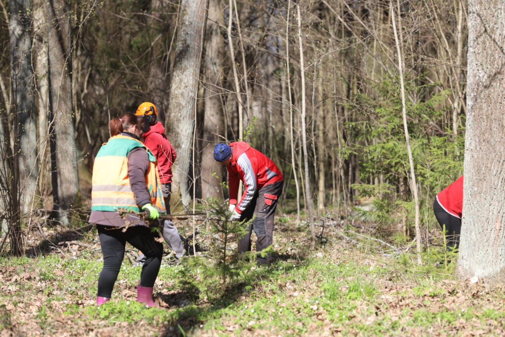Autors: Foto: Gatis Bogdanovs