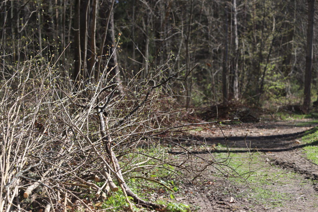 Autors: Foto: Gatis Bogdanovs