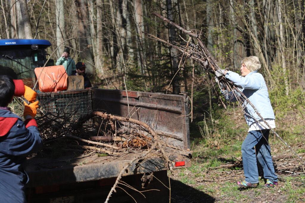 Autors: Foto: Gatis Bogdanovs