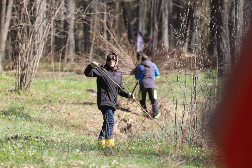 Autors: Foto: Gatis Bogdanovs