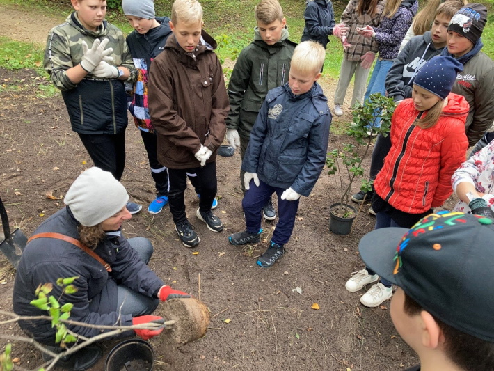 Aluksniesiem.lv raksta attēla aizvietotājs