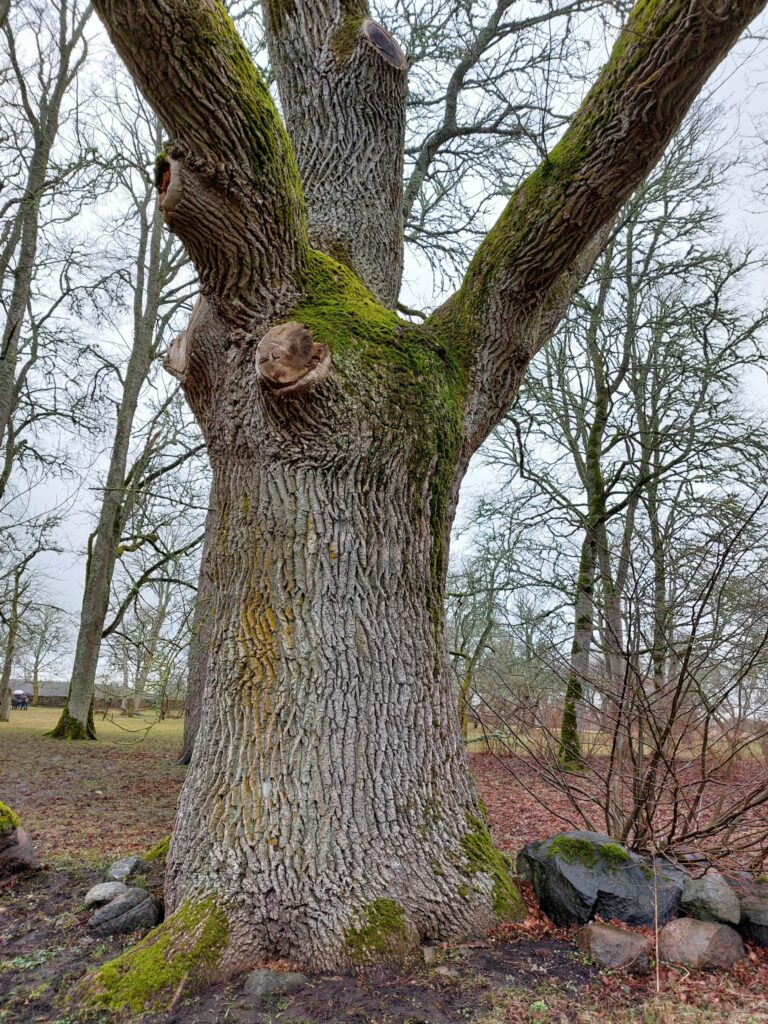 Autors: Foto: Pārsla Konrāde