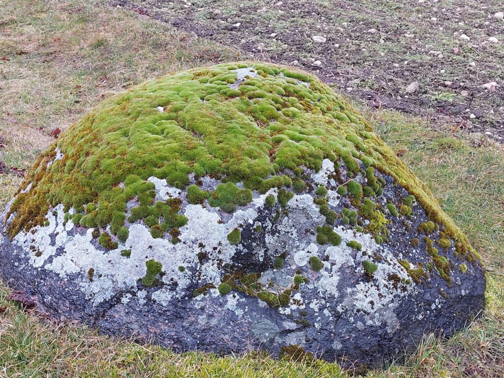 Autors: Foto: Pārsla Konrāde