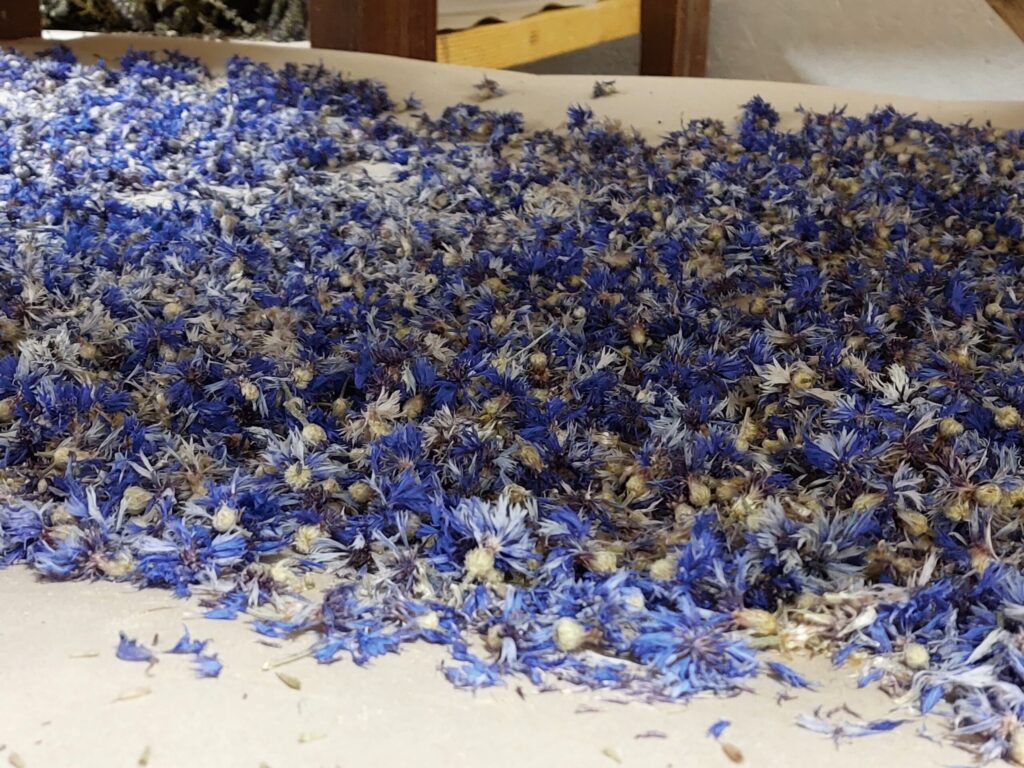 Autors: Foto: Pārsla Konrāde