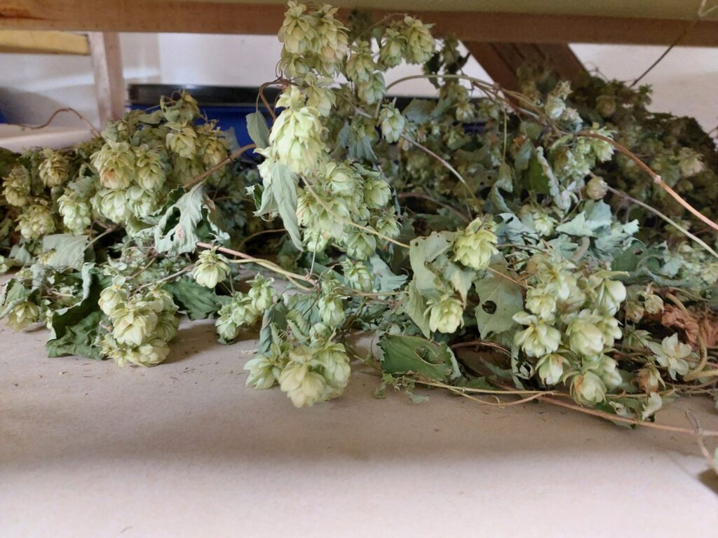 Autors: Foto: Pārsla Konrāde