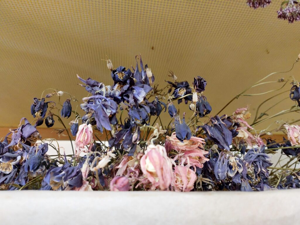 Autors: Foto: Pārsla Konrāde