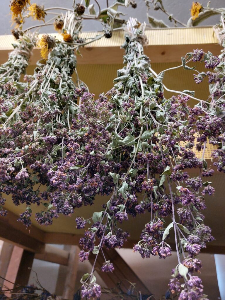 Autors: Foto: Pārsla Konrāde