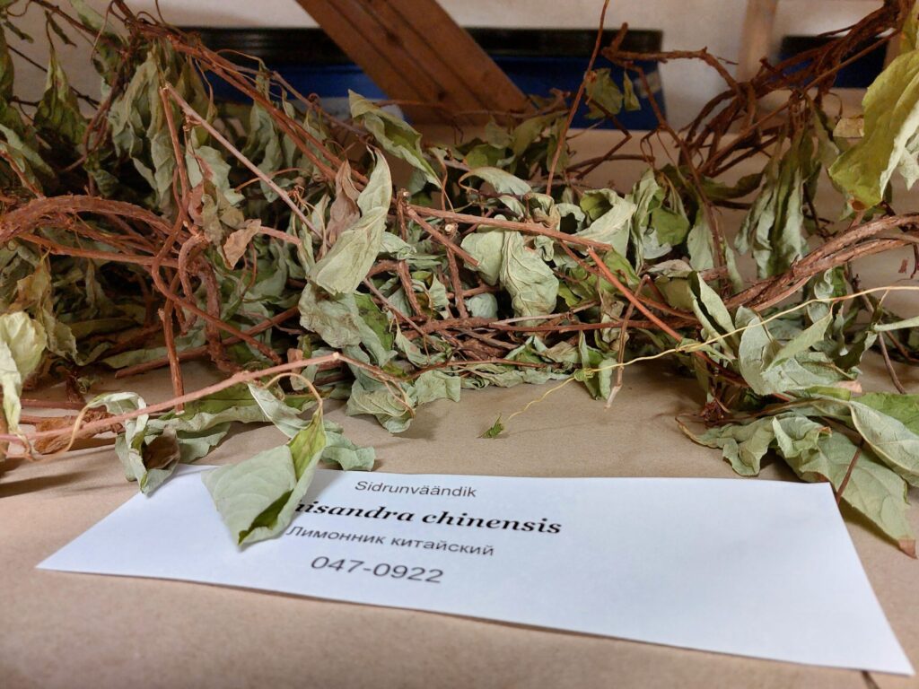 Autors: Foto: Pārsla Konrāde