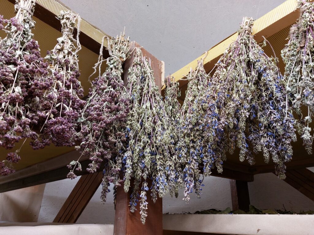 Autors: Foto: Pārsla Konrāde