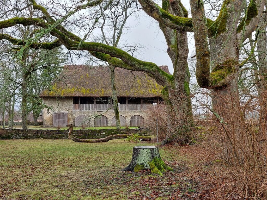 Autors: Foto: Pārsla Konrāde