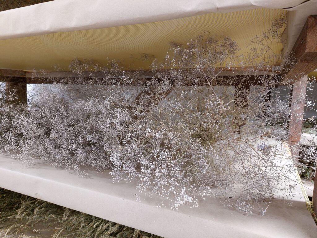 Autors: Foto: Pārsla Konrāde