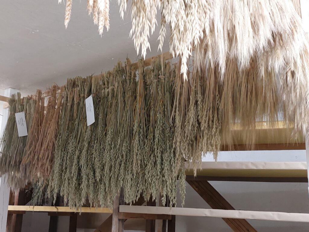 Autors: Foto: Pārsla Konrāde