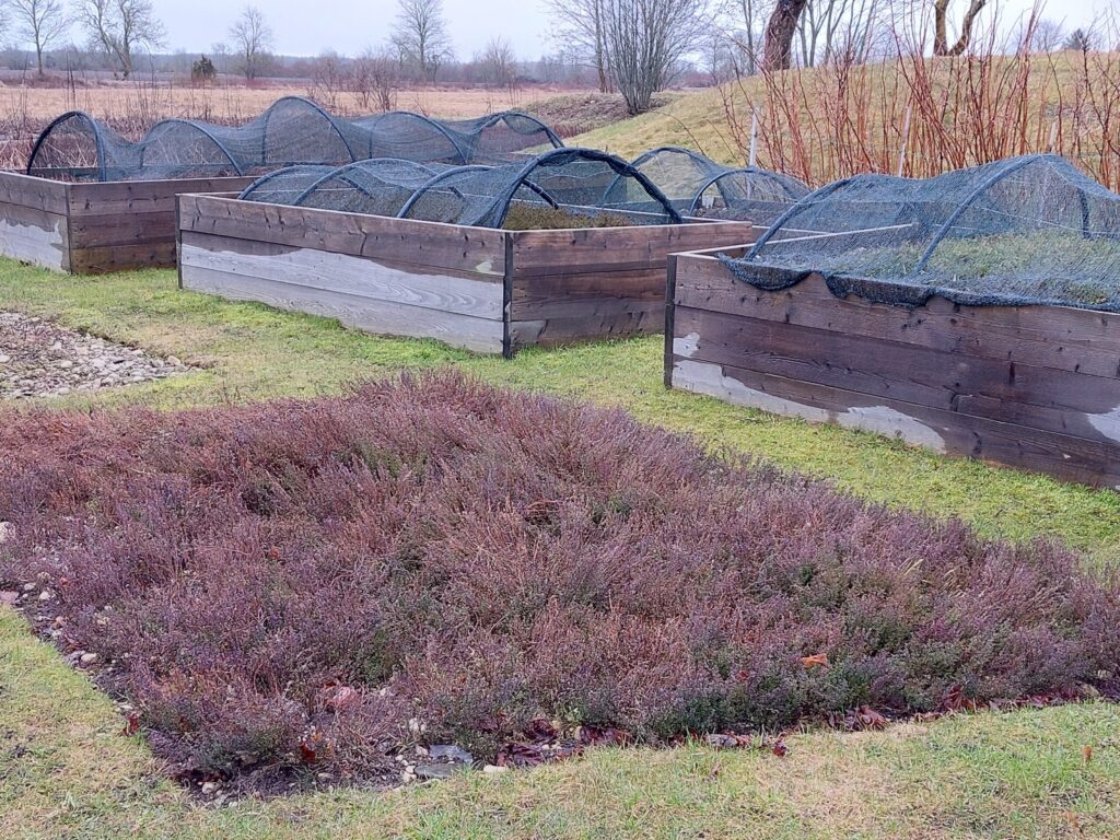 Autors: Foto: Pārsla Konrāde