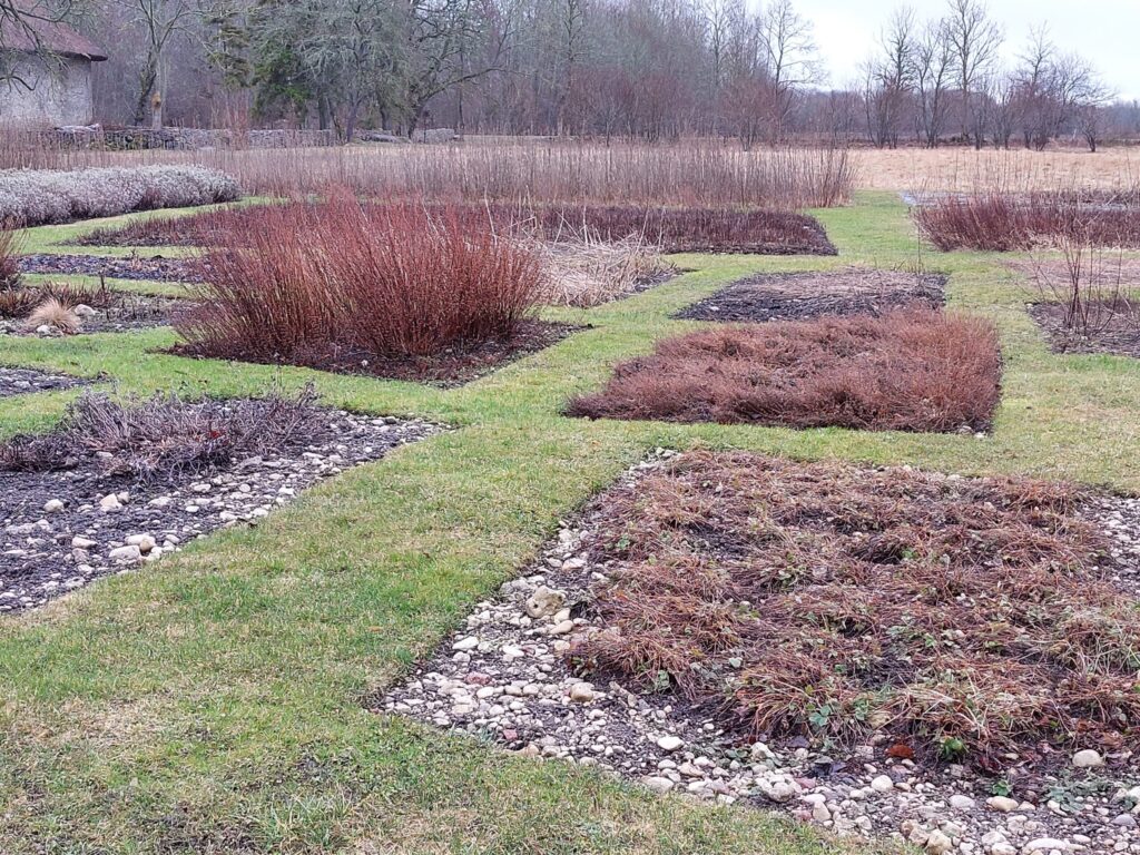 Autors: Foto: Pārsla Konrāde