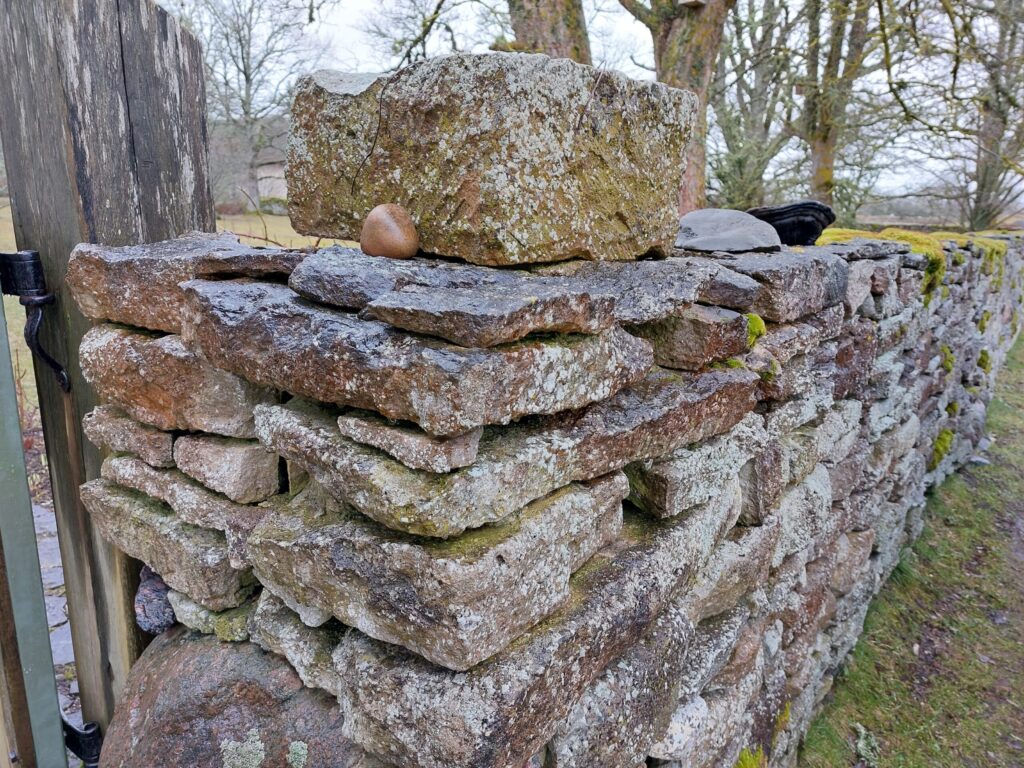 Autors: Foto: Pārsla Konrāde