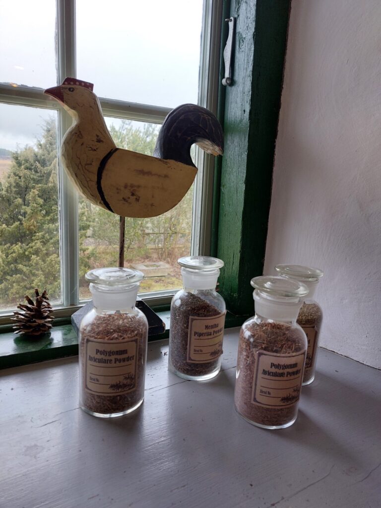 Autors: Foto: Pārsla Konrāde