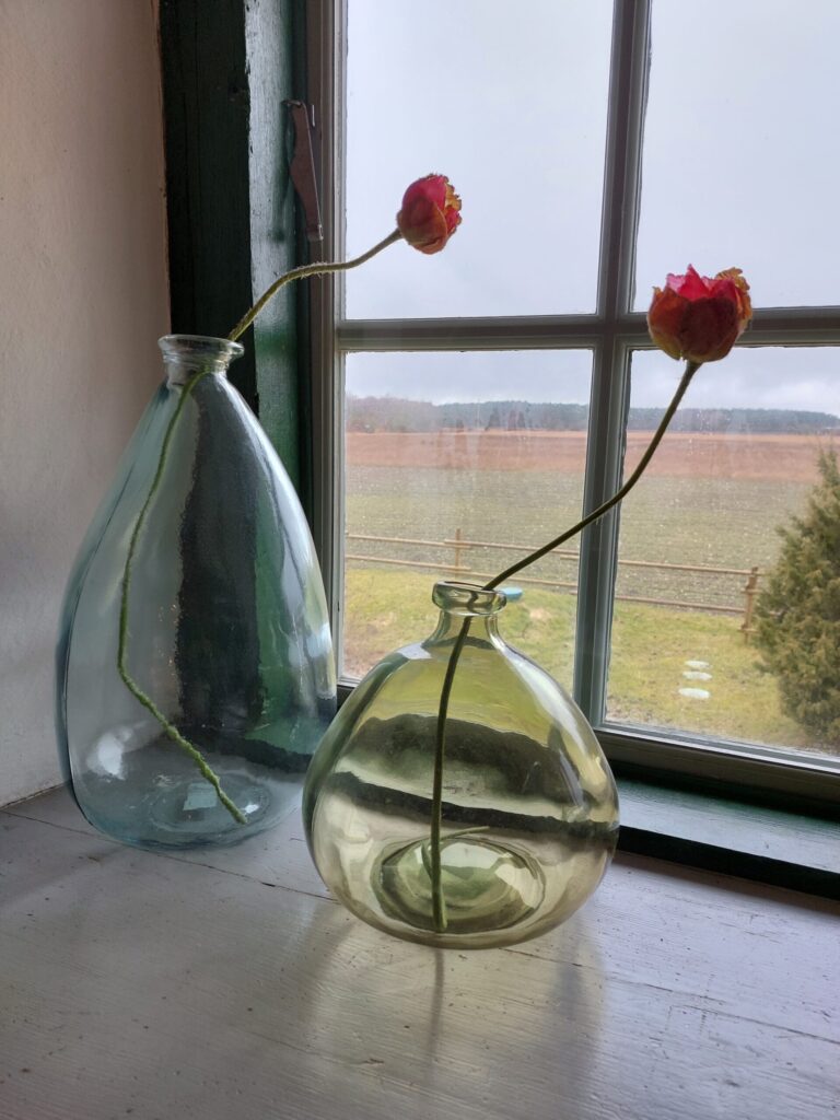 Autors: Foto: Pārsla Konrāde