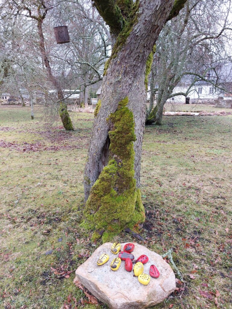 Autors: Foto: Pārsla Konrāde