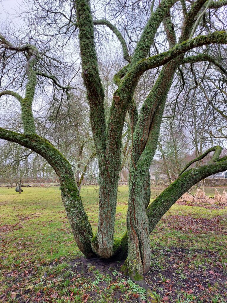 Autors: Foto: Pārsla Konrāde