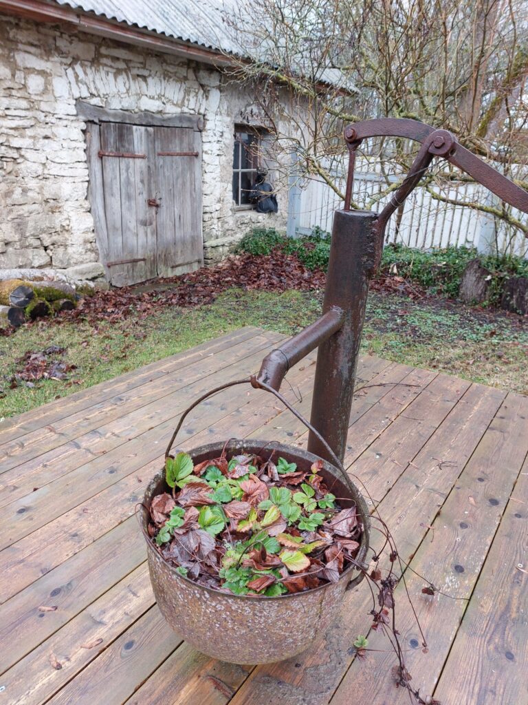 Autors: Foto: Pārsla Konrāde