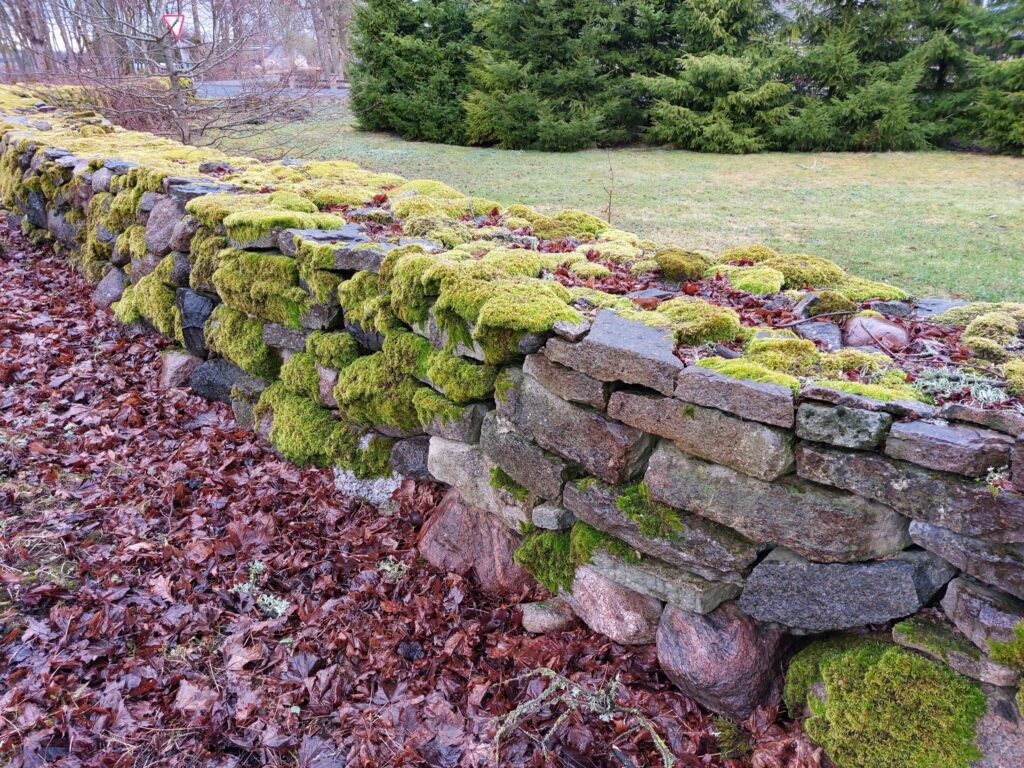 Autors: Foto: Pārsla Konrāde