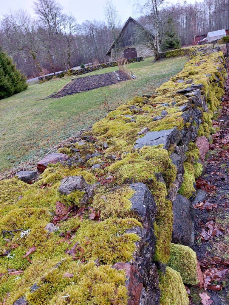 Autors: Foto: Pārsla Konrāde