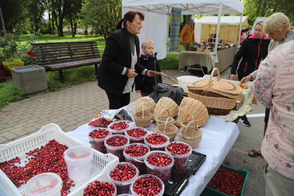 Autors: Foto: Gatis Bogdanovs