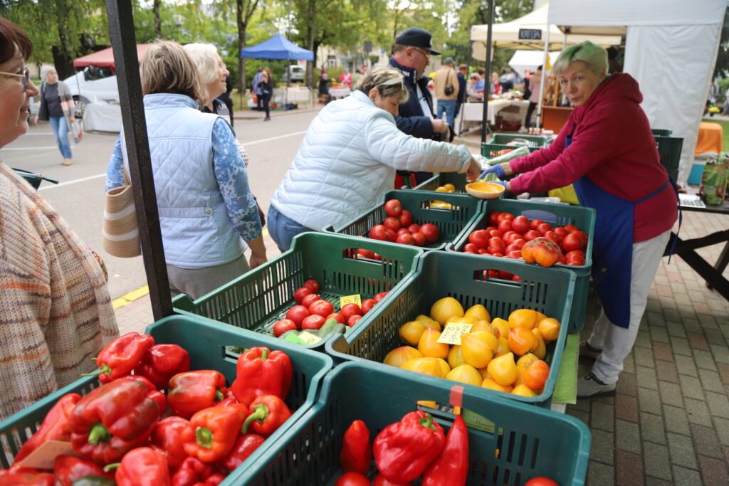 Autors: Foto: Gatis Bogdanovs