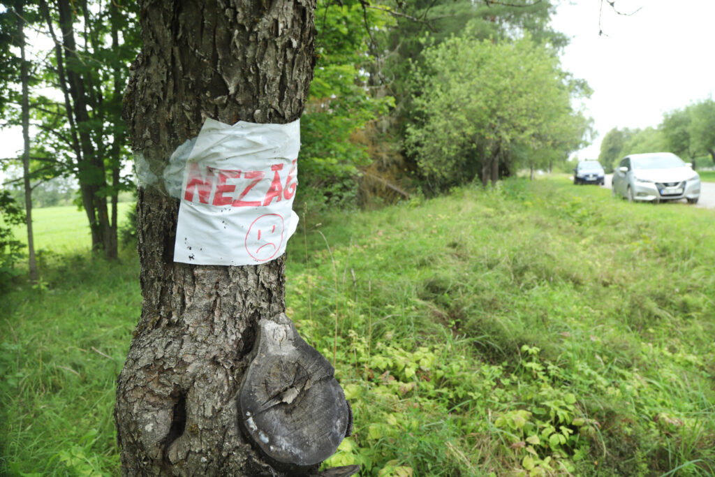 Aluksniesiem.lv raksta attēla aizvietotājs