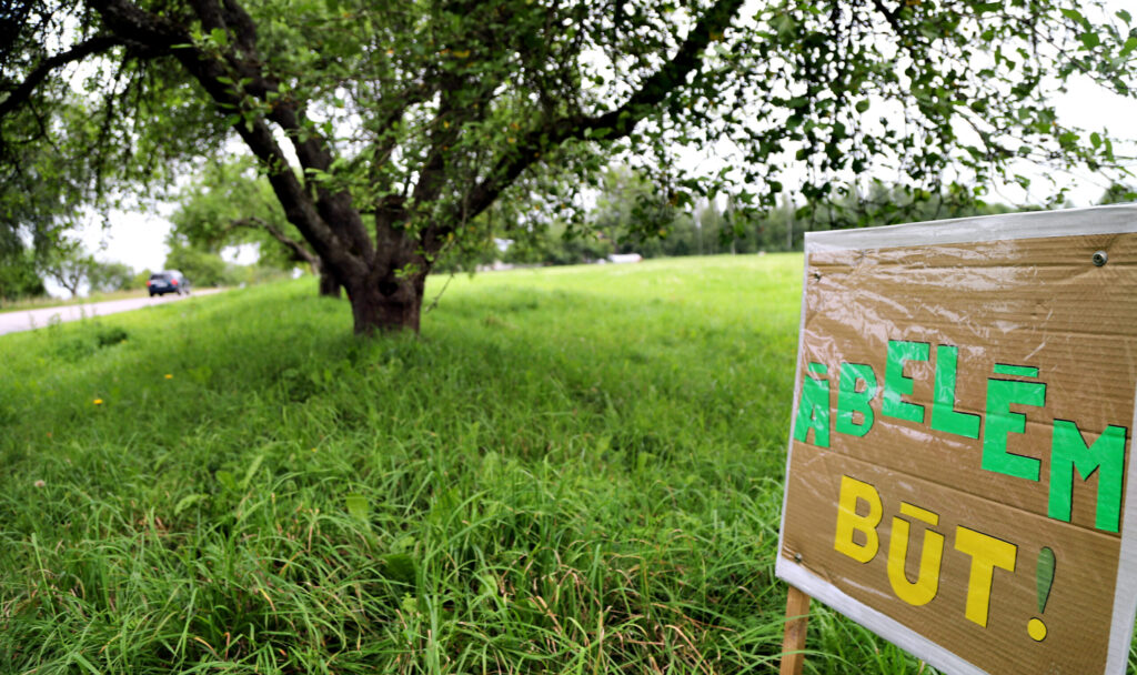 "Gada uzvara". Kad augustā sākās ceļa Cesvaine-Velēna remonts, tirzmalieši ātri reaģēja un nosargāja savas vectēvu stādītās ābeles ceļa malā.
Autors: Foto: no "Dzirksteles" arhīva