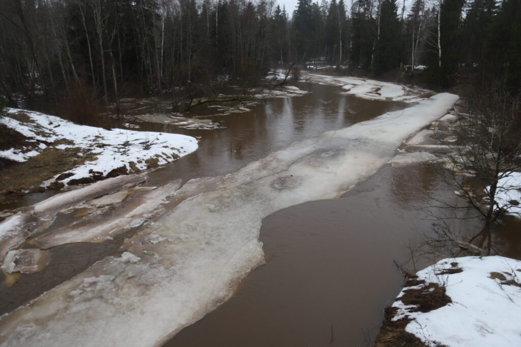 Autors: Foto: Gatis Bogdanovs