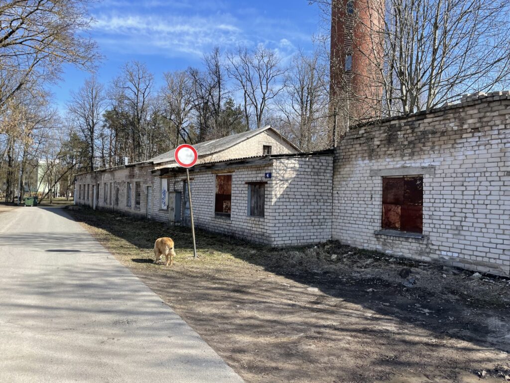 Iecienīta vieta Gulbenes centrā. Ūdensvada iela ved uz Gulbīšu parku. Tā ir tipiska gājēju iela. Savā laikā ir uzlabots tās segums. Ēkas šajā ielā ir iespējams pieslēgt centrālapkurei. Bijušās veļas mazgātavas vietā gulbenieši labāk redzētu kaut ko saistītu ar parka infrastruktūru vai neredzētu neko.
Autors:  Foto: Diāna Odumiņa