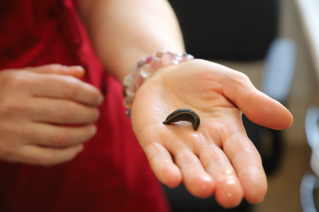 Autors: Foto: Gatis Bogdanovs