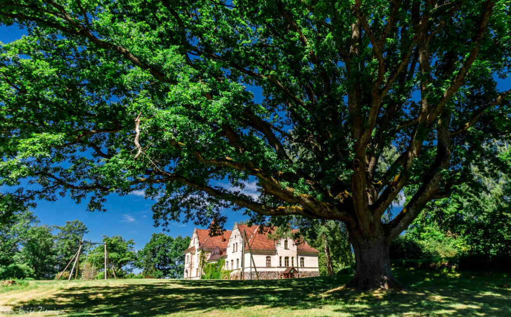 Aluksniesiem.lv raksta attēla aizvietotājs