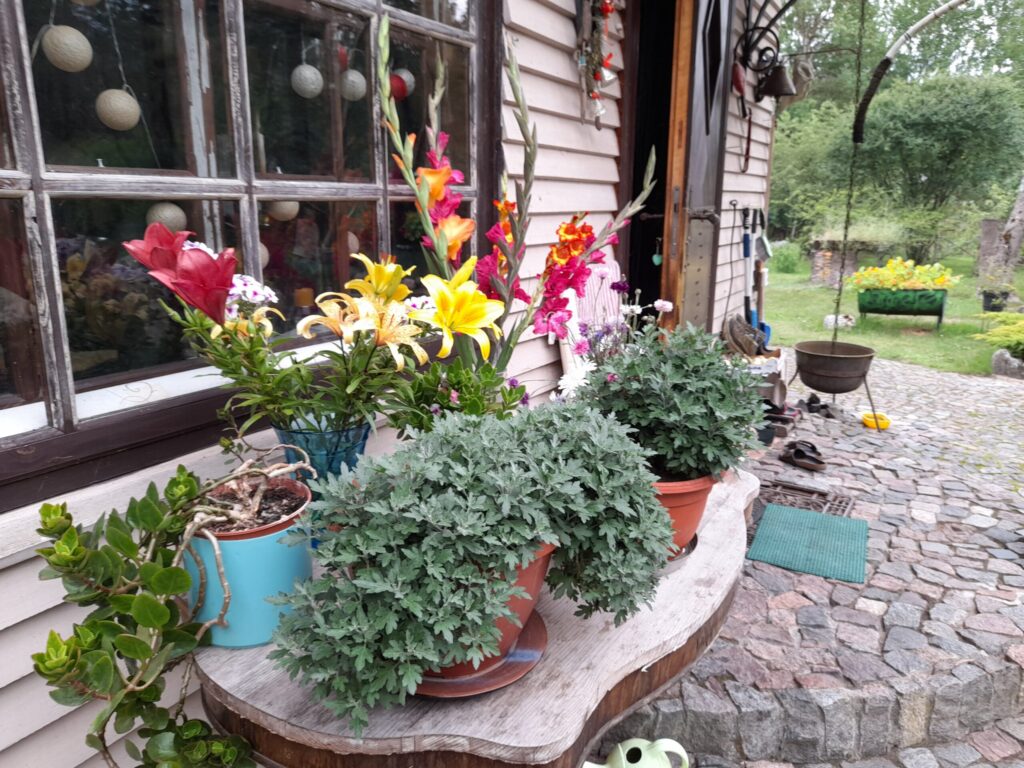 Autors: Foto: Inita Savicka