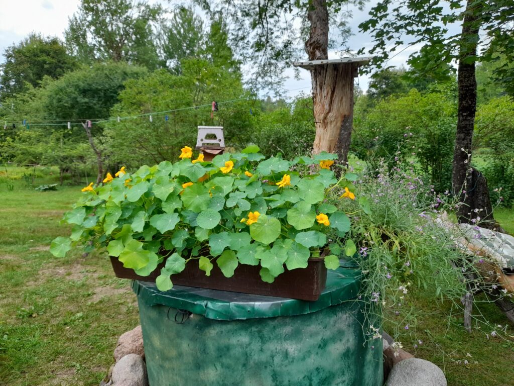 Autors: Foto: Inita Savicka