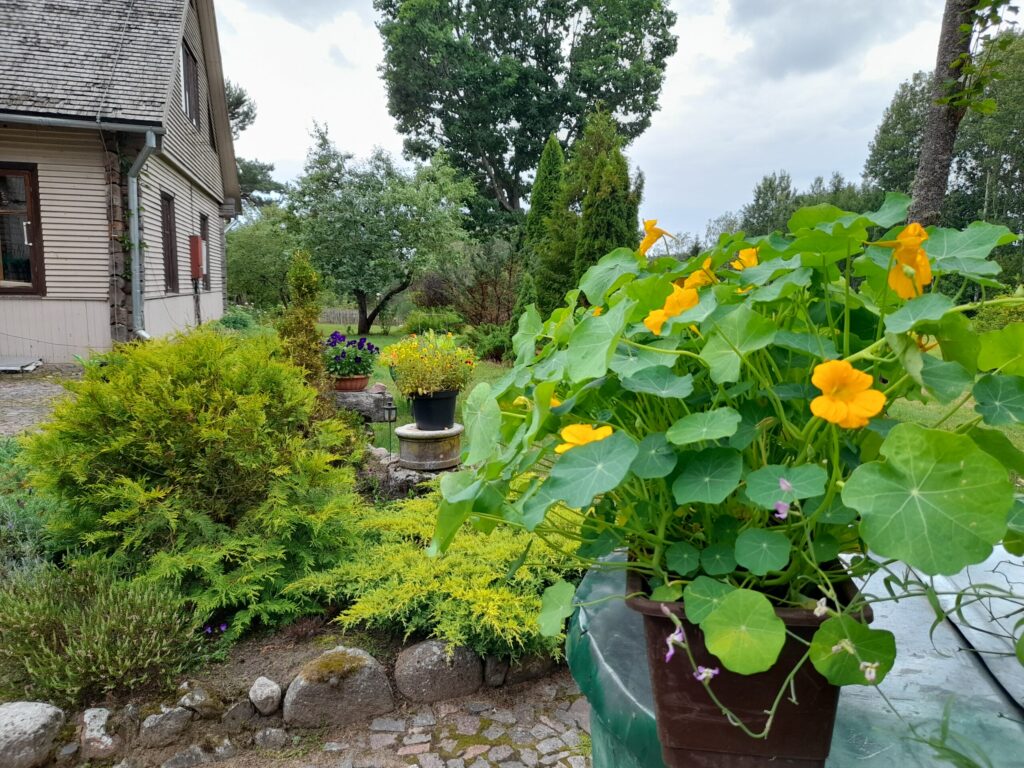 Autors: Foto: Inita Savicka