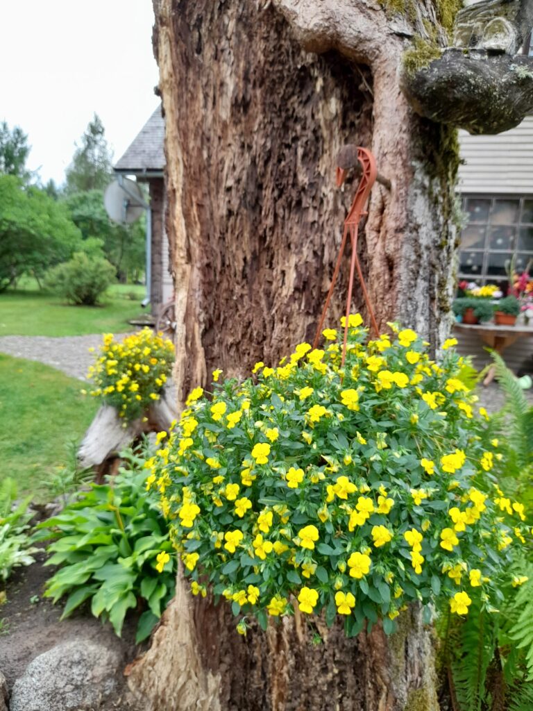 Autors: Foto: Inita Savicka