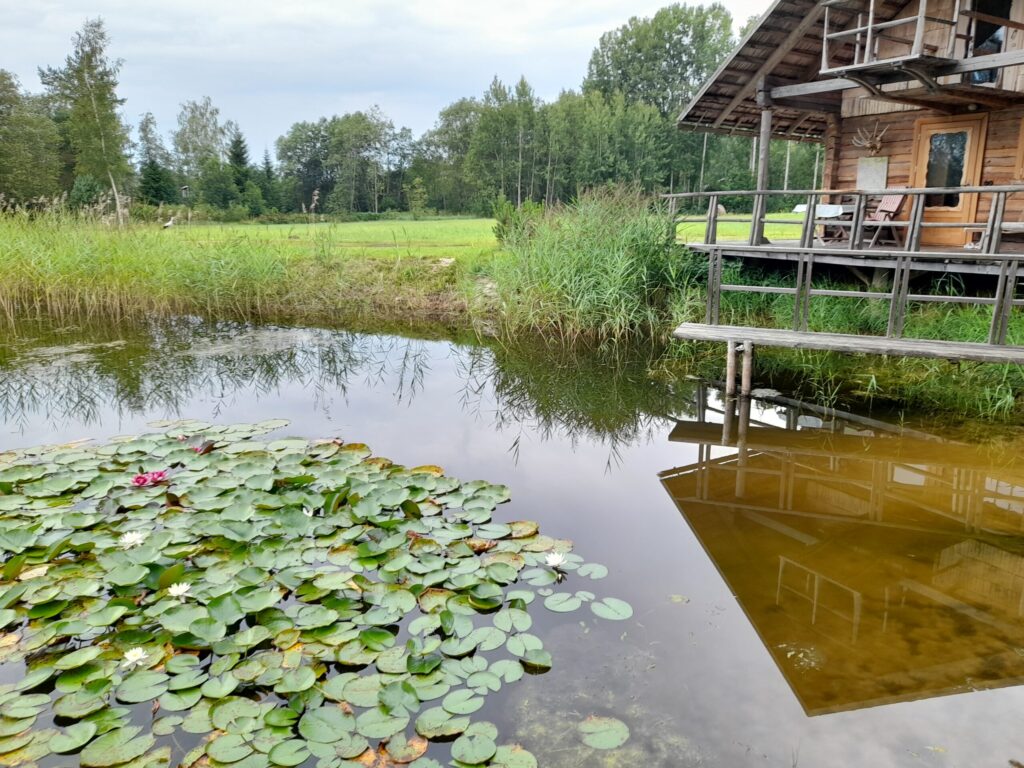 Autors: Foto: Inita Savicka