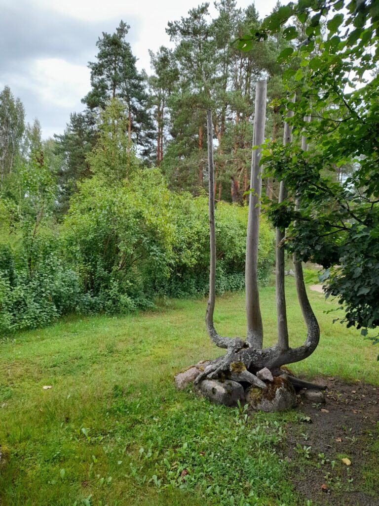 Autors: Foto: Inita Savicka