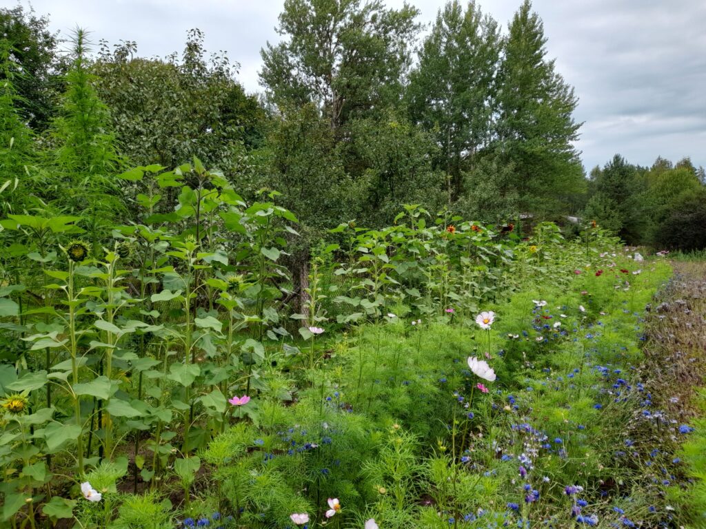 Autors: Foto: Inita Savicka