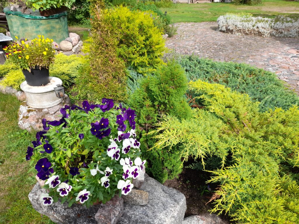 Autors: Foto: Inita Savicka