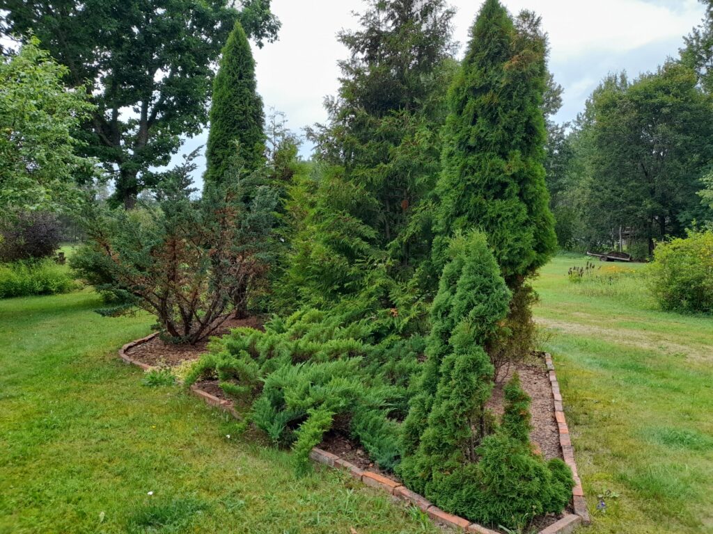 Autors: Foto: Inita Savicka