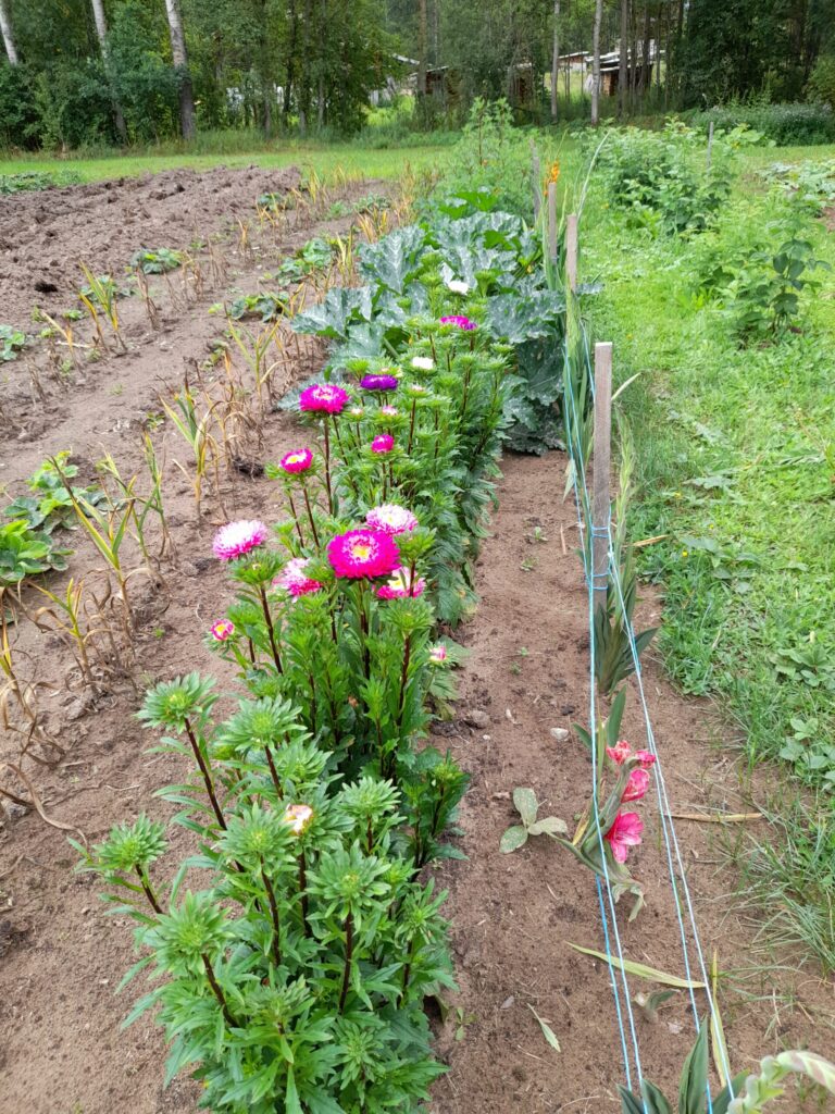 Autors: Foto: Inita Savicka