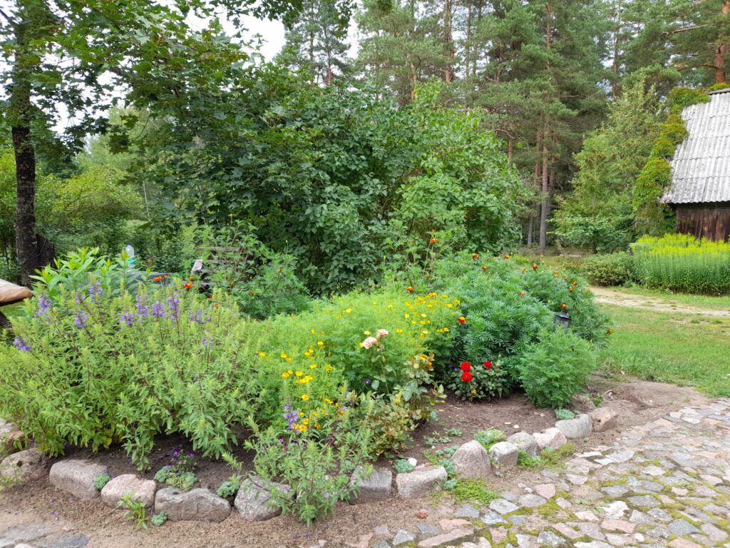 Autors: Foto: Inita Savicka