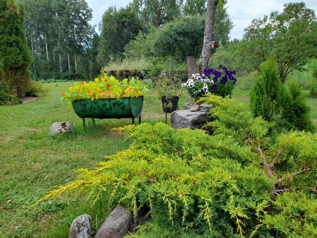 Autors: Foto: Inita Savicka