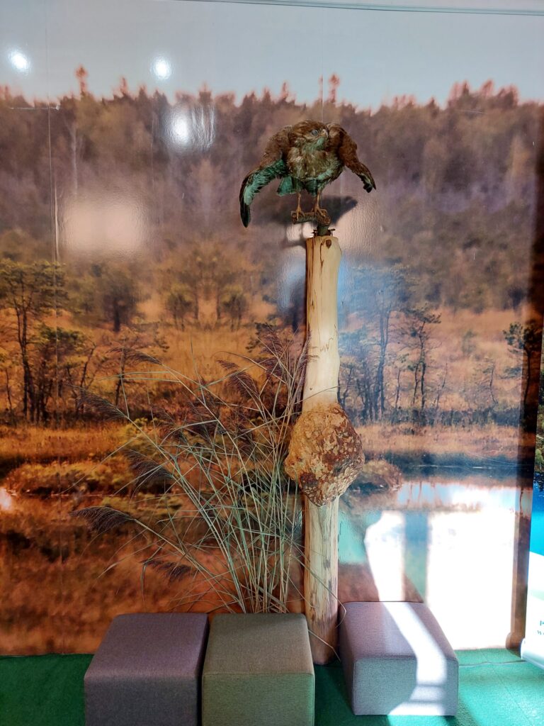 Autors: Foto: Pārsla Konrāde